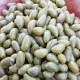 Olive LUCQUES 